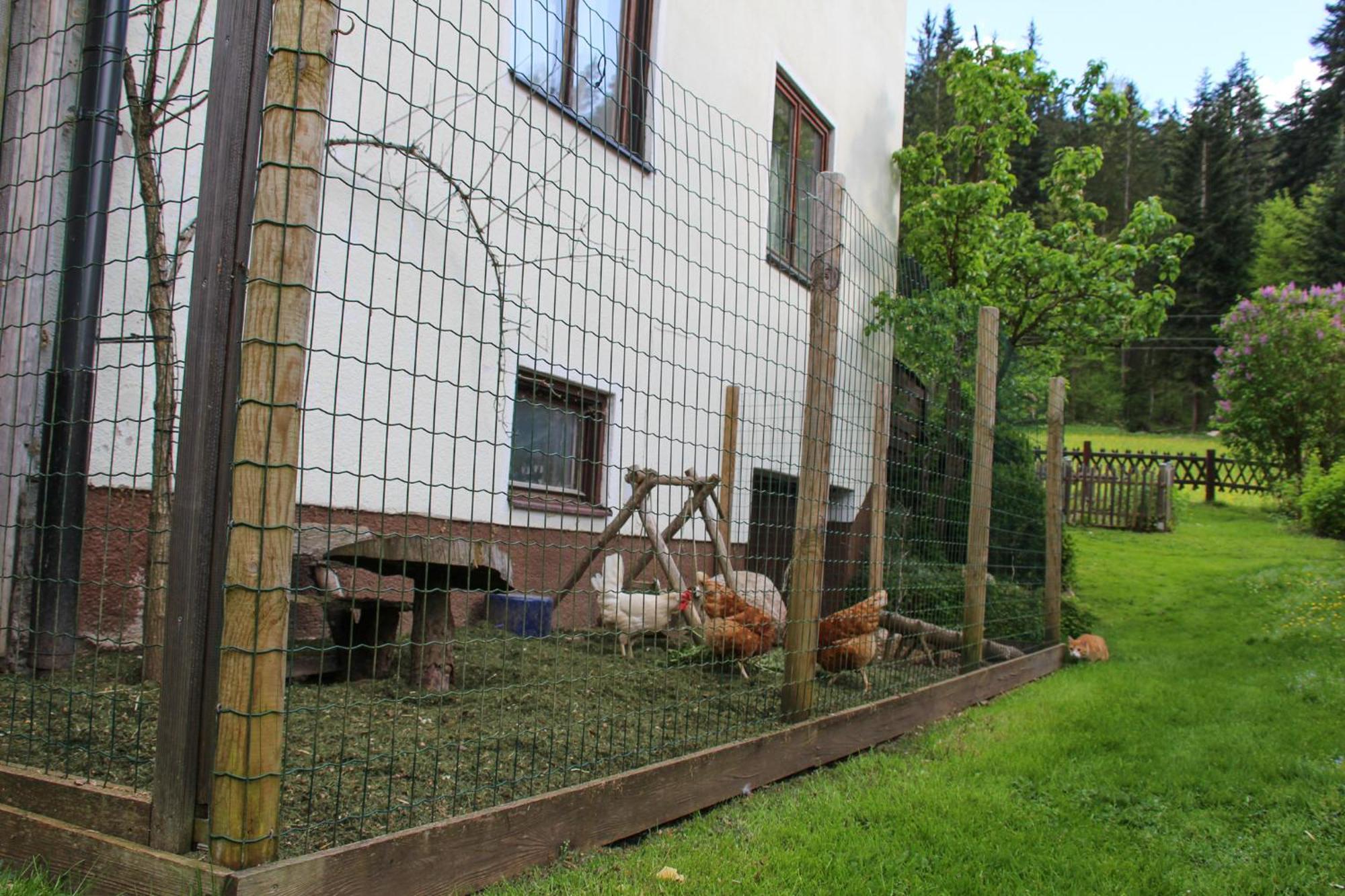 Apartamento Frieda'S Platzl Abtenau Exterior foto